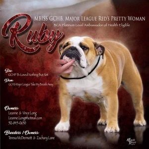 Meet your Posher, Leanne